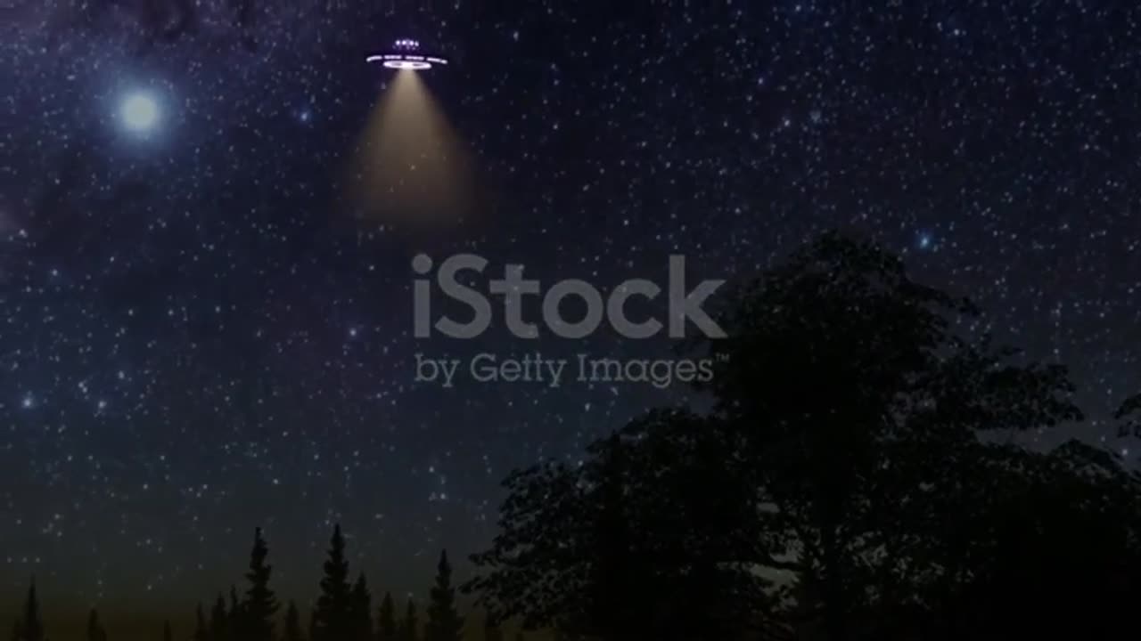 UFO OVER A FOREST GARDEN