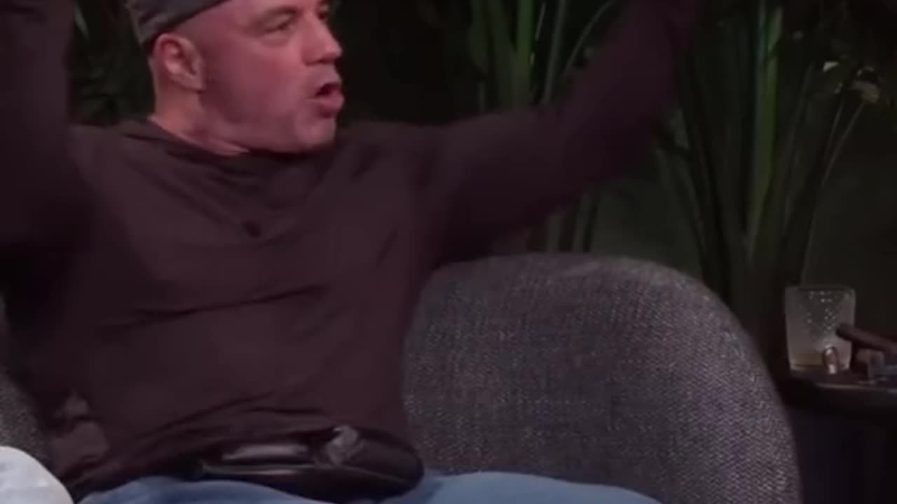 Joe Rogan On Grizzly Bears !!! #short #joerogan #jre #jreclips #joeroganclips #joeroganexperience #g
