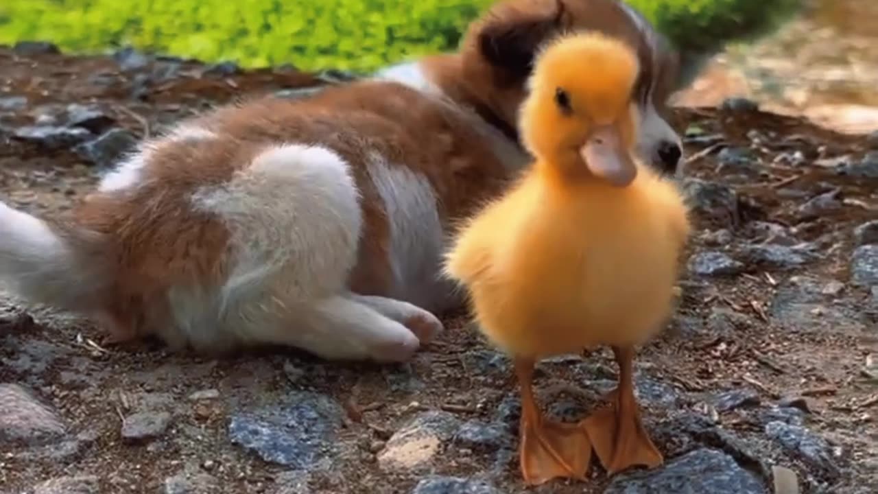 There is only one happiness in this life, to love and be loved