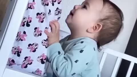 Best baby videos of funny
