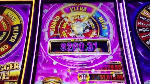 Get - 50 Free spins wizard