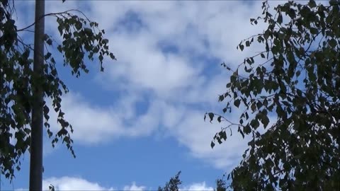 Hälyyttimien testaus