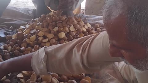 Potato for eid cow
