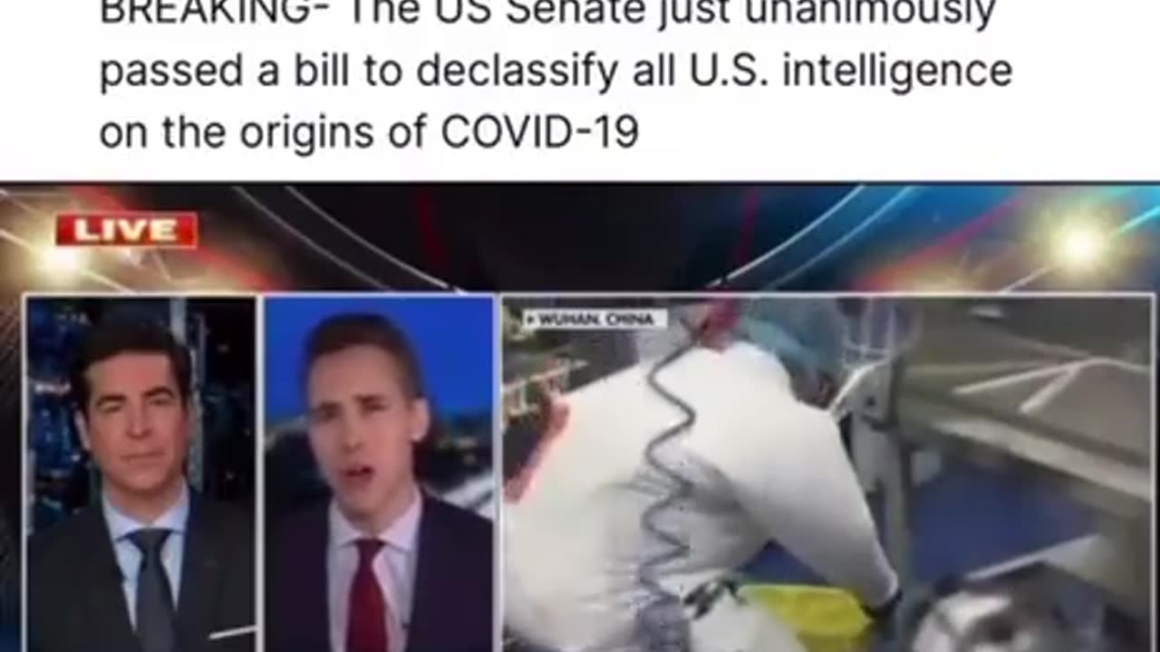 THE USA Senate ordered all covid files to be declassified