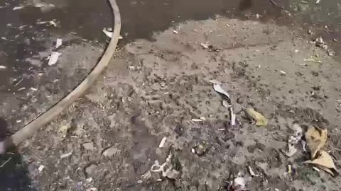 Ukraine Footage 09/21/23