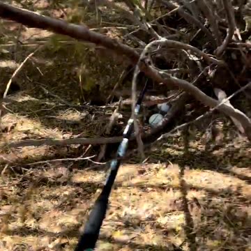 HOW TO NEVER BUY A GOLF BALLS AGAIN