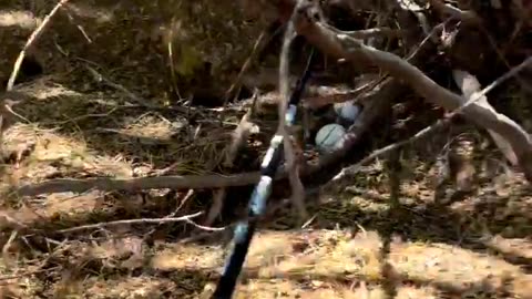 HOW TO NEVER BUY A GOLF BALLS AGAIN