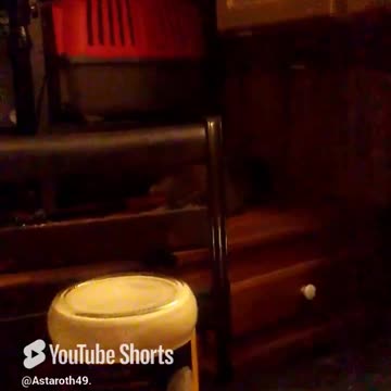 Someone got into the catnip again! #catshorts