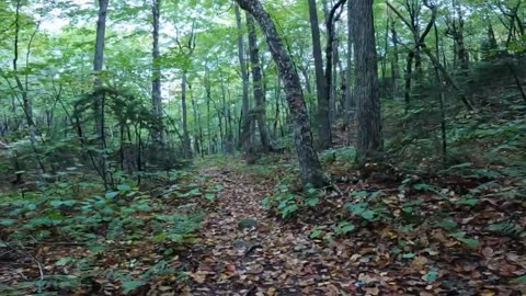 Take a Hike