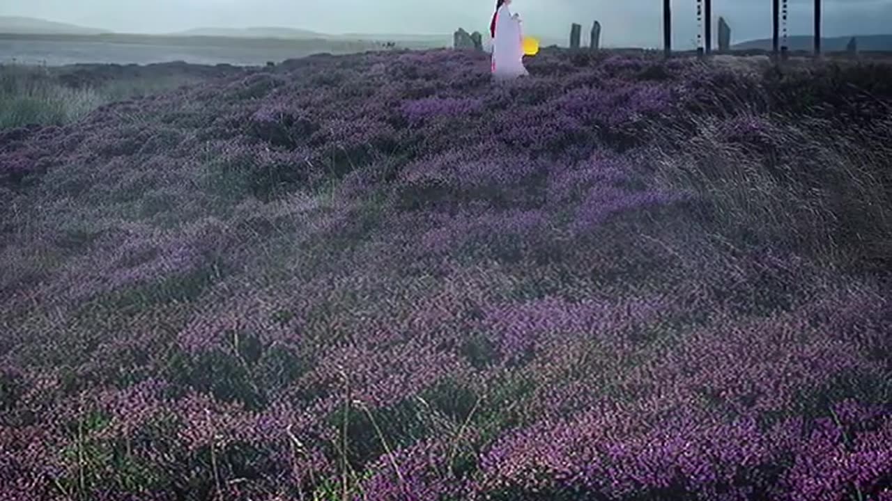 Enjoy the nature