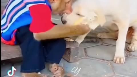 Viral Funny Video of Dog and Monkey
