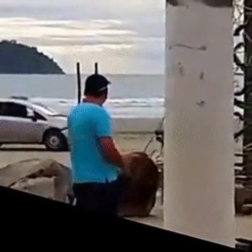 Car Tries To Run Over Pedestrian At The Beach