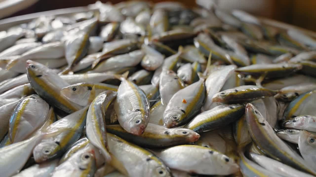 Close Up of Fish in Jakarta