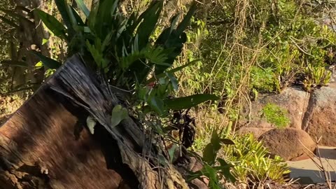 20/28 - Experiência imersiva pelas Praias de Governador Celso Ramos até a Praia das Conchas