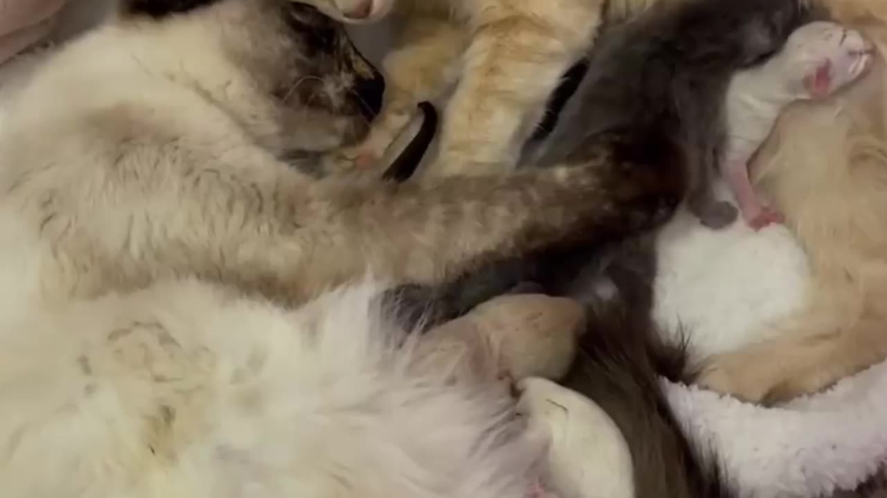 Nothing but a happy family!