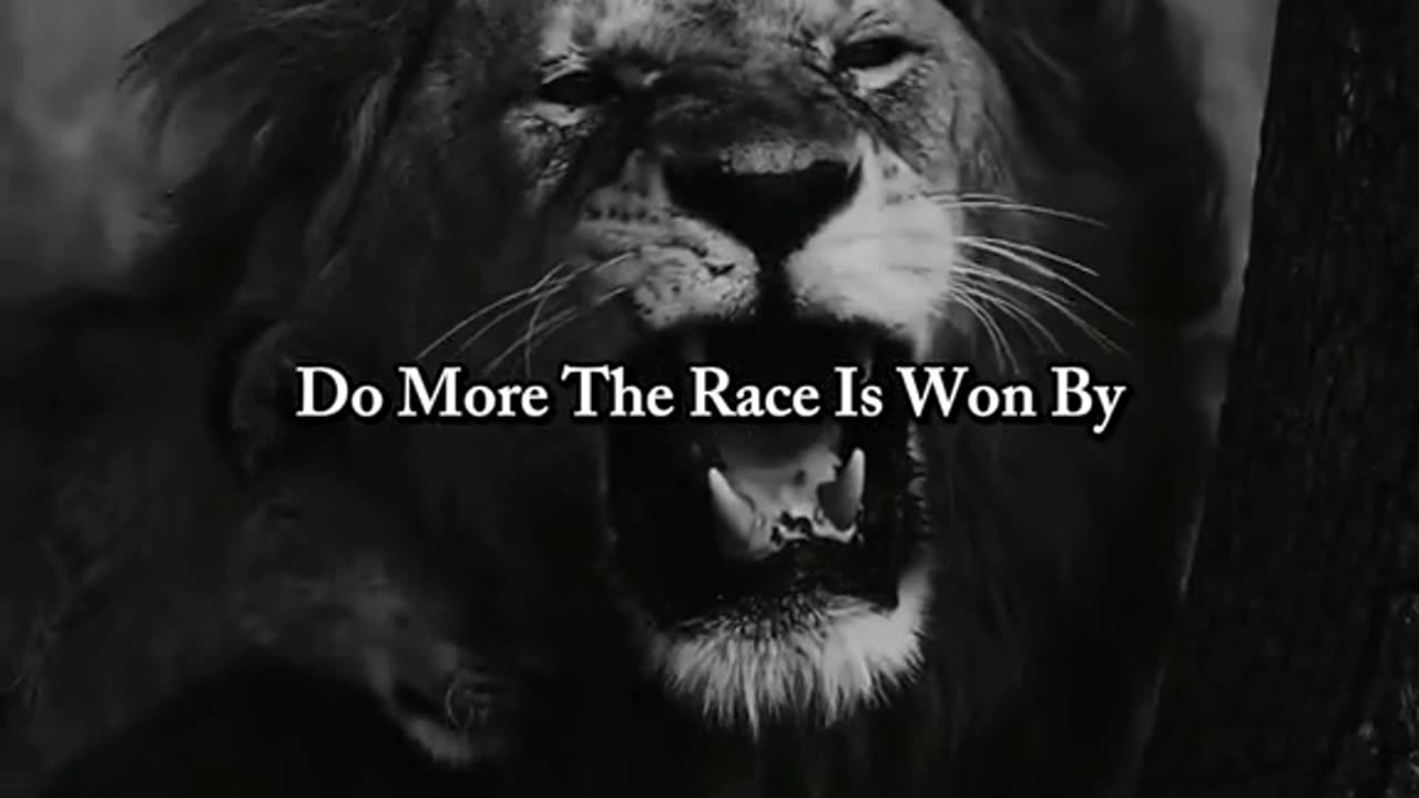 Quotes and lessons you need to know