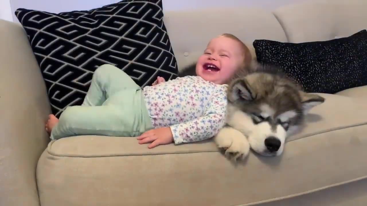 Adorable Puppy Meets Baby FUNNY VIDEO