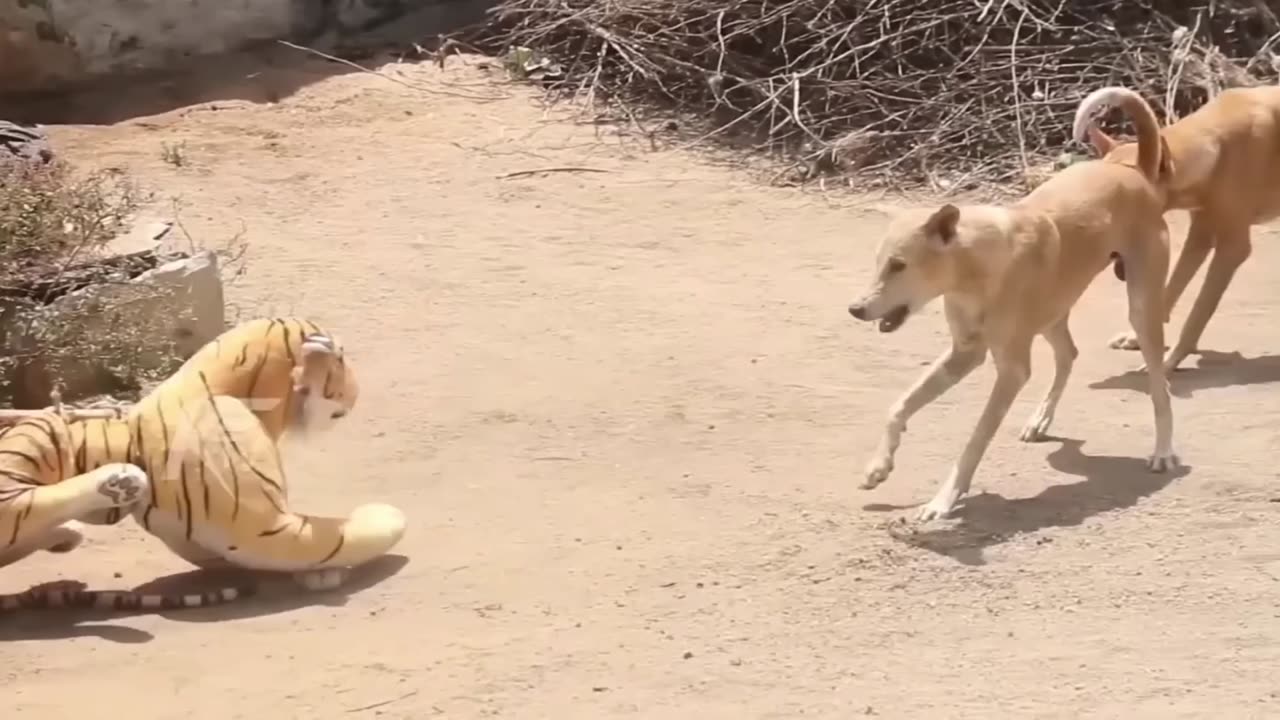 Dog Attacks Fake Tigers Pranks Part - 4 On - Super Funny Video