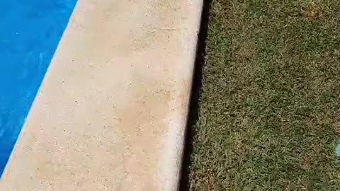 Slowest but biggest front flip into the pool