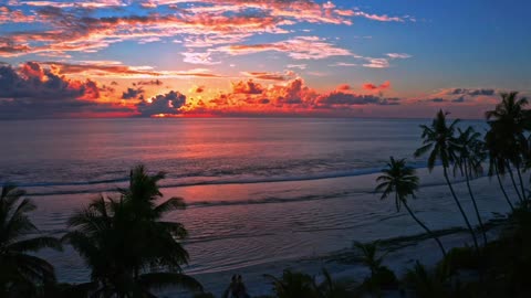 beauty of nature and zen music