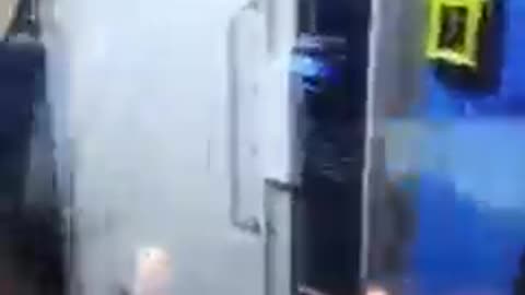 New World Order (No humans)