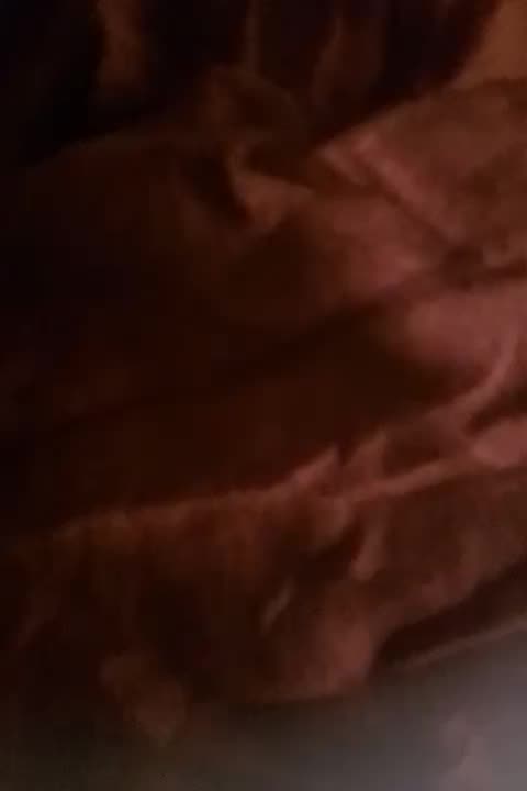 My Villeg Vilog to dekho let's do it again