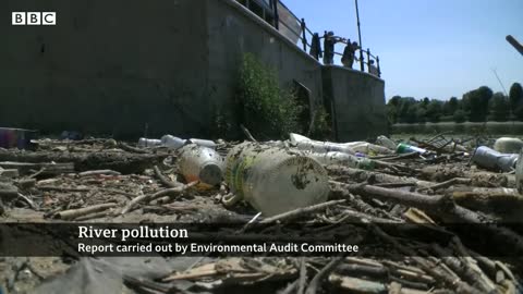 No English river is free from pollution, report finds -