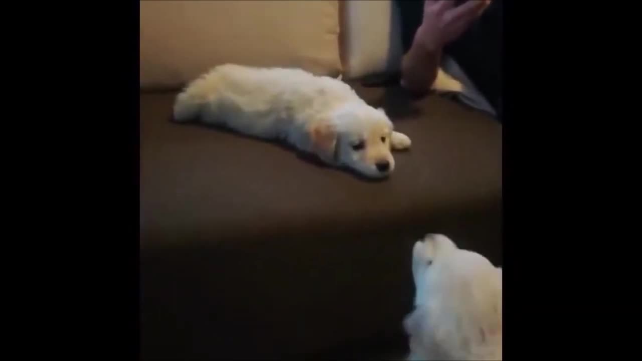 Episode 19 - Cannot stop laughing