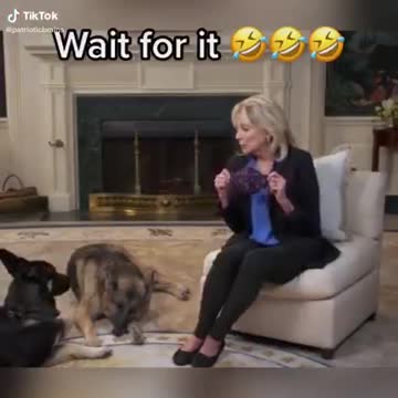 I didn't make it, but I sure LMAO!!!