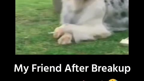 After brookup