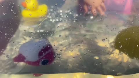 Learning Colors With Baby Sharks