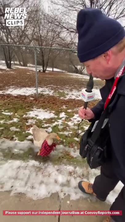 Racist Duck Joins The Windsor Convoy Protest