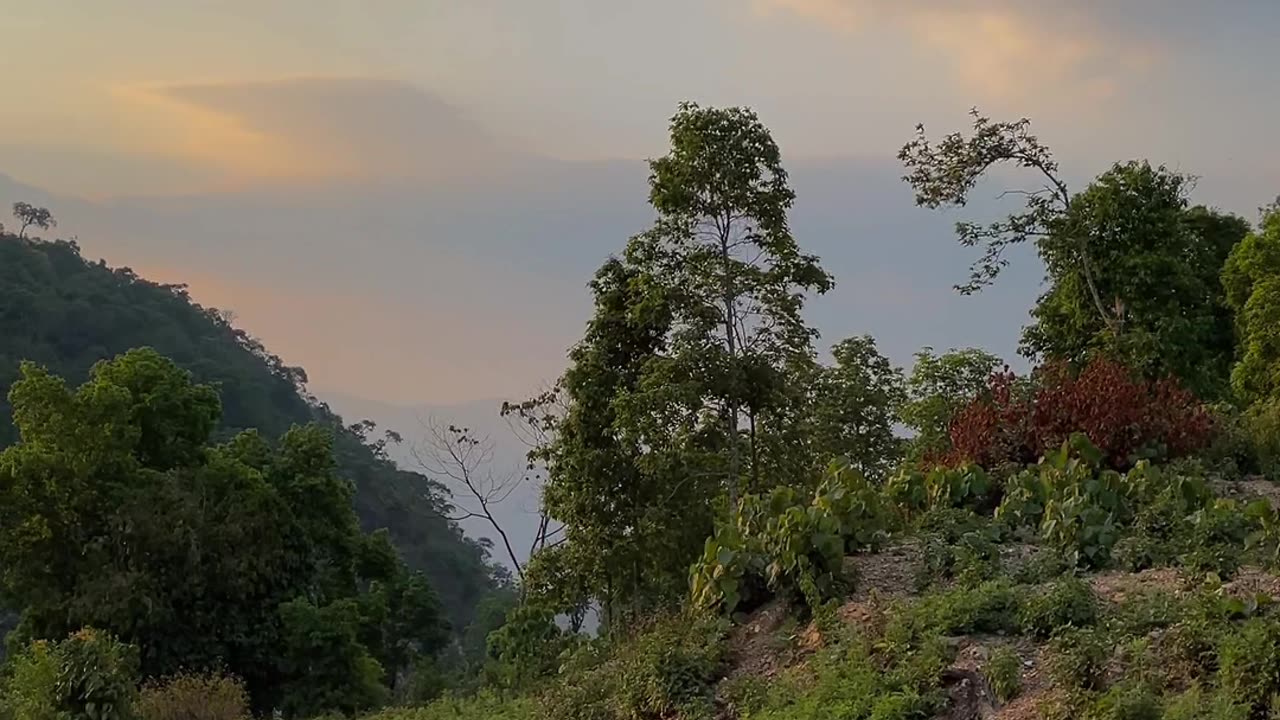 Nature