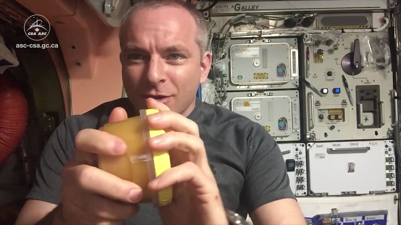 Honey in space!What happens to honey in the space?