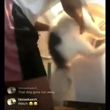 Please Get That Dog Out of that House…