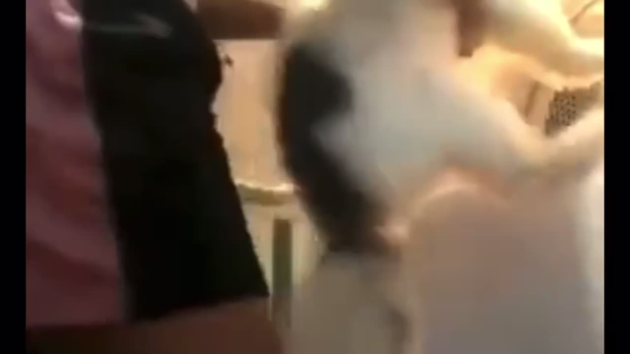 Please Get That Dog Out of that House…