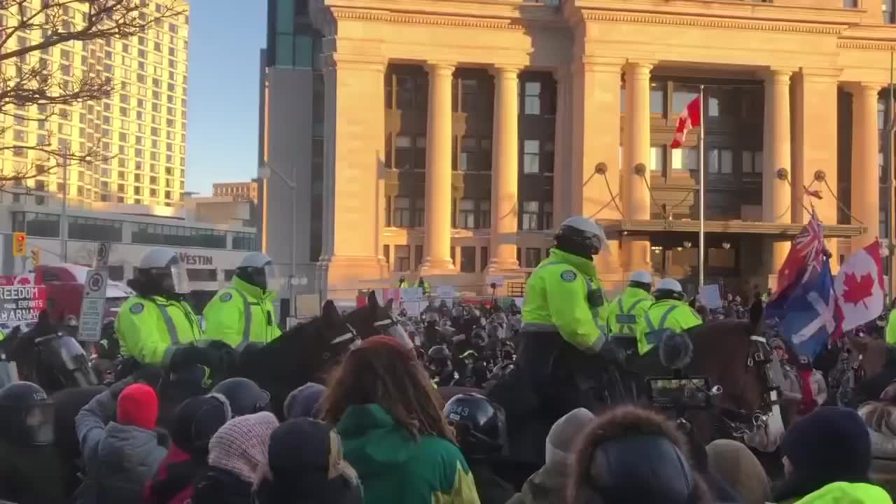 Protestor Trampled by horse in Ottawa