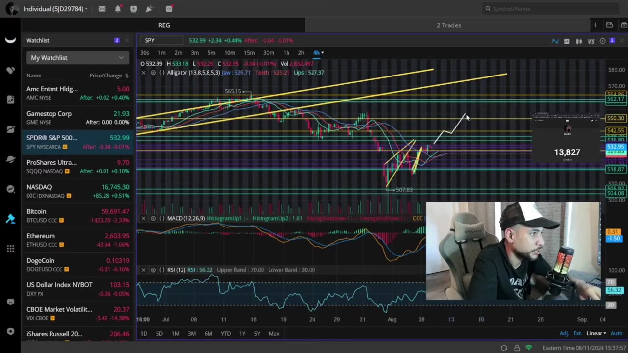 UNREAL The Untold Truth About AMC GME & The Stock Market!