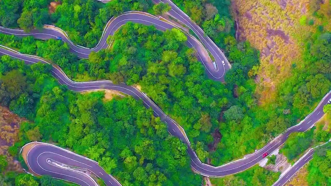 Beautiful Nature Video