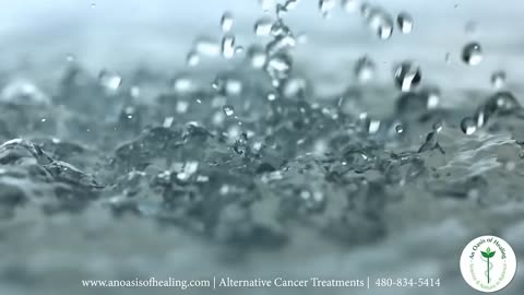 Does Water Fasting Heal The Body?