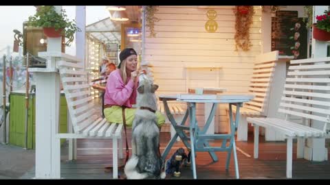 Dog training videos