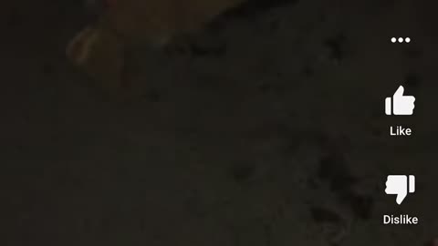Borderland brawl/ El Paso TX