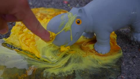 EXPERIMENT MUST WATCH