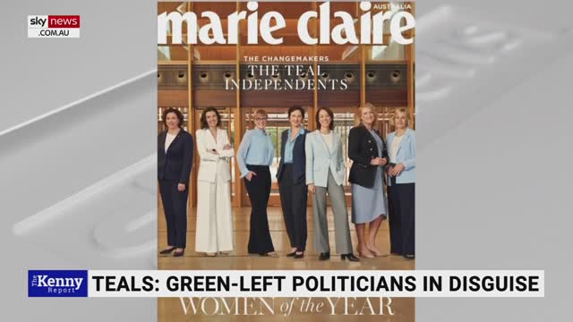 147_Teal independents are ‘green-left politicians in disguise’