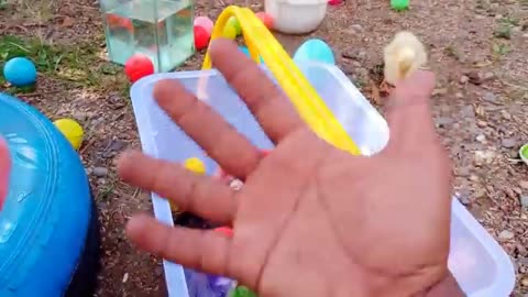 Catch_cuts_chickens_colorful_chickins, _rainbow, chickens, rebbits cuts cats, ducks, animals cuts🐱🐤🐔