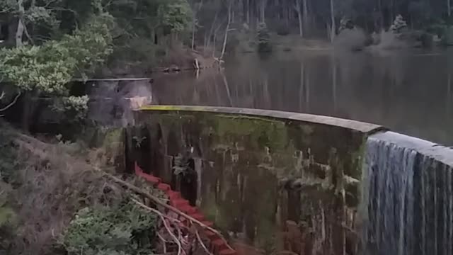 Amazing Footage