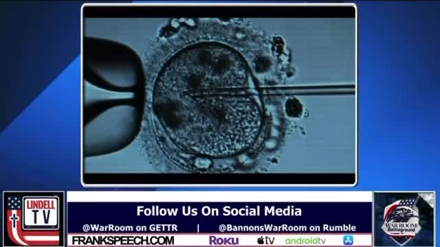 ECTOLIFE = WTF IS THIS?