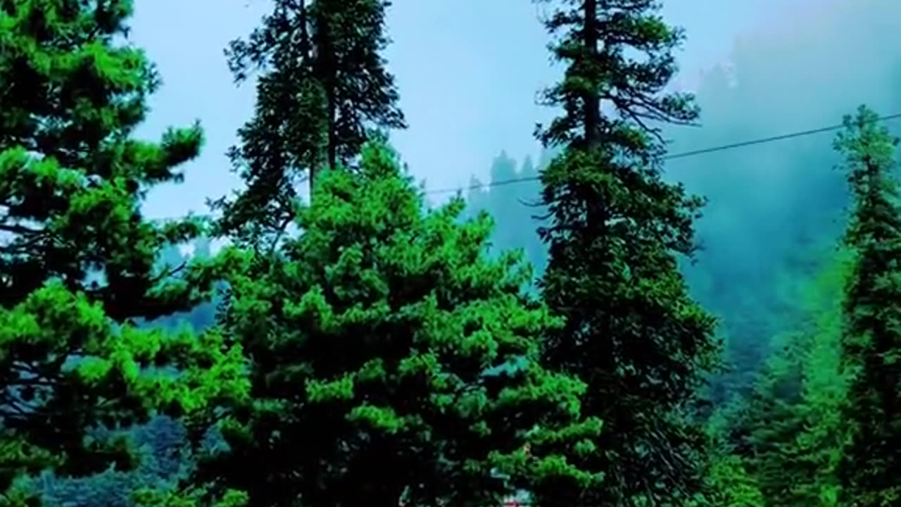 Nathia gali