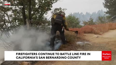 Firefighters Continue To Battle Massive ‘Line Fire’ As California Wildfire Grows To 26,000 Acres