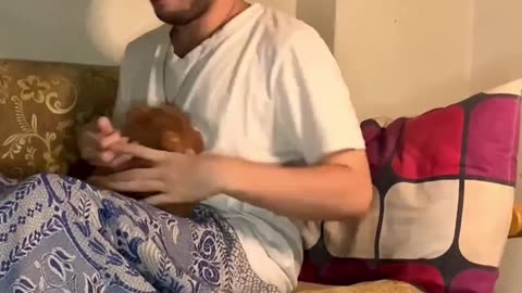 حصل وبيحصل يا باشا 😂